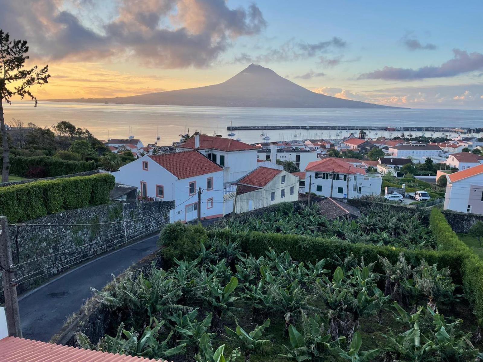 Quinta Peixinho Rc Dt Lägenhet Horta  Exteriör bild